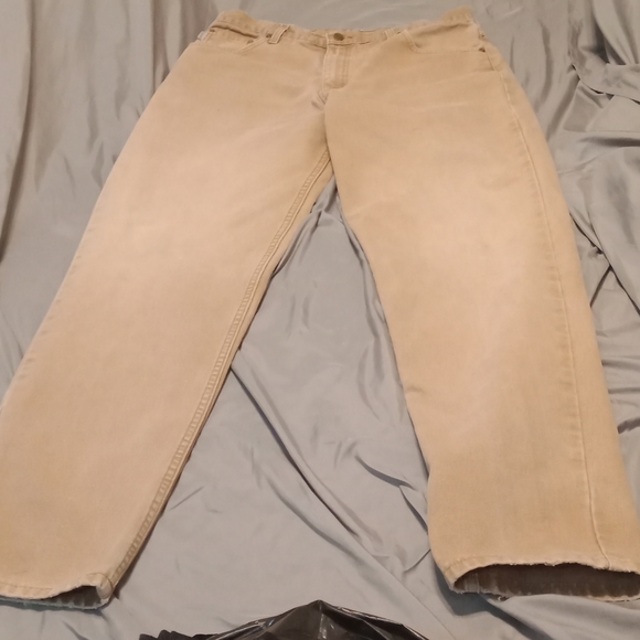 Carhartt Other - Carhartt Men thick pants